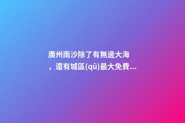 廣州南沙除了有無邊大海，還有城區(qū)最大免費森林公園，名字拗口